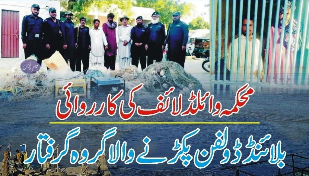 Blind Dolphin in Dera Ismail Khan