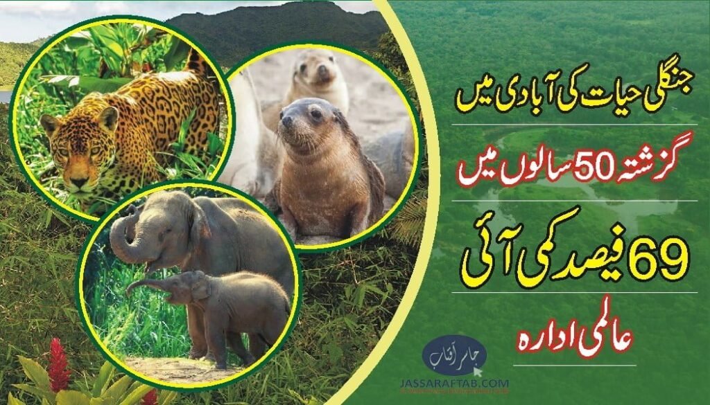 Wildlife populations plunged