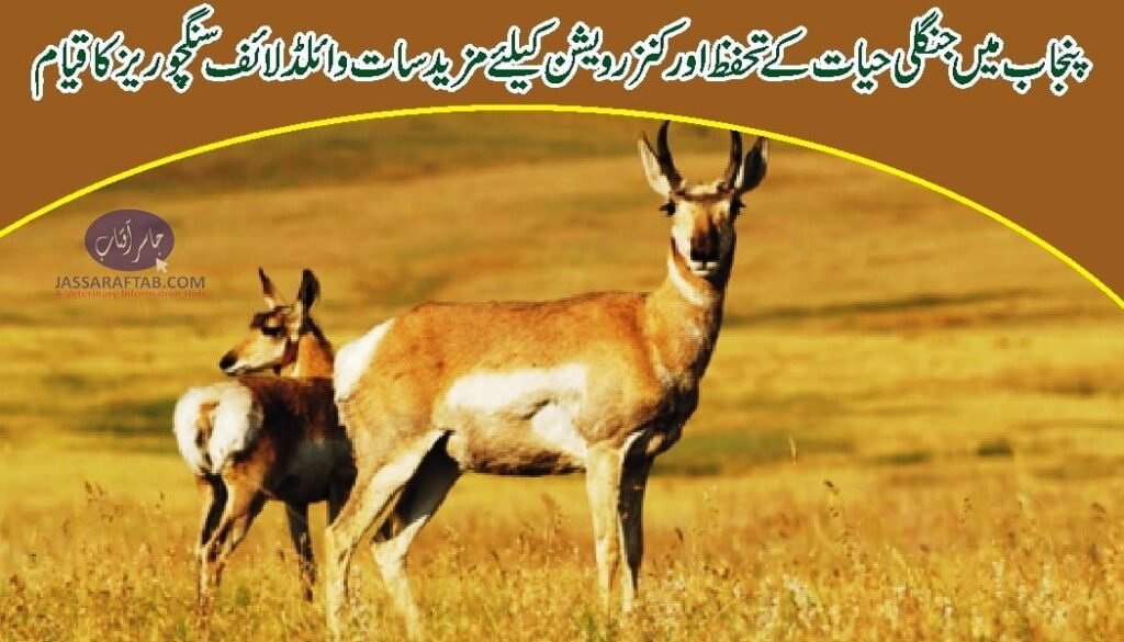 Wildlife sanctuaries in Punjab