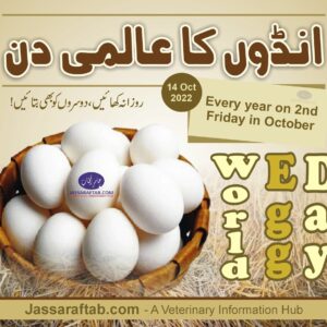 world egg day 2022