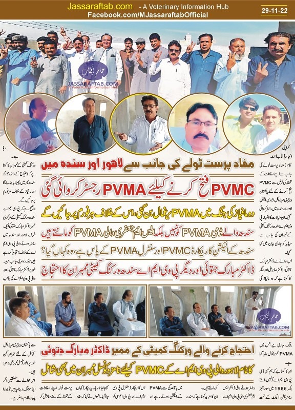 PVMA Sindh Protest