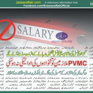 PVMC Financial Issues