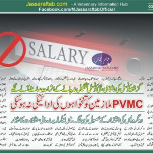 PVMC Financial Crisis