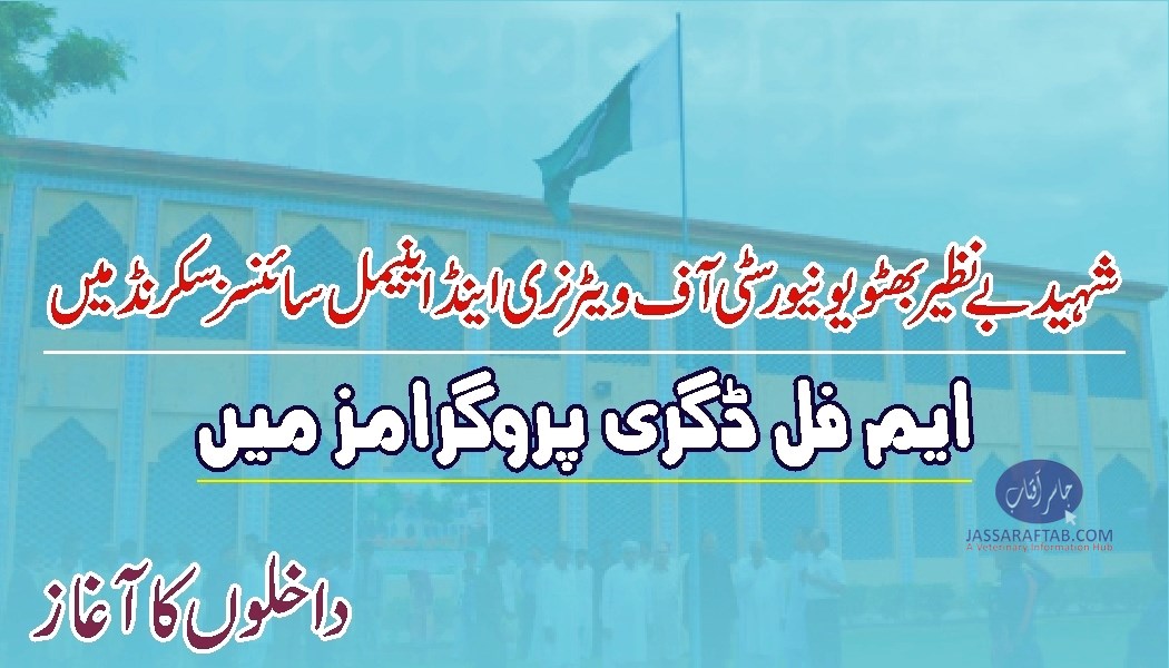 Shaheed Benazir Bhutto University admissions