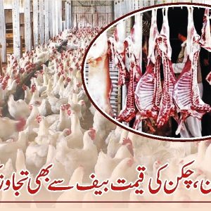 Chicken meat price may cross beef due to Poultry feed crisis