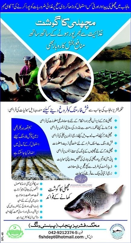 پنجاب میں مچھلی کی پیداوار اور فی کس استعمال کو بڑھا کرغذائی ضروریات کو پورا کرنے کی آگاہی مہم