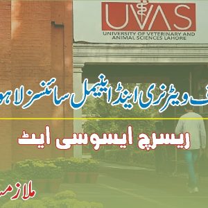 UVAS Jobs | Job opportunity as research associate