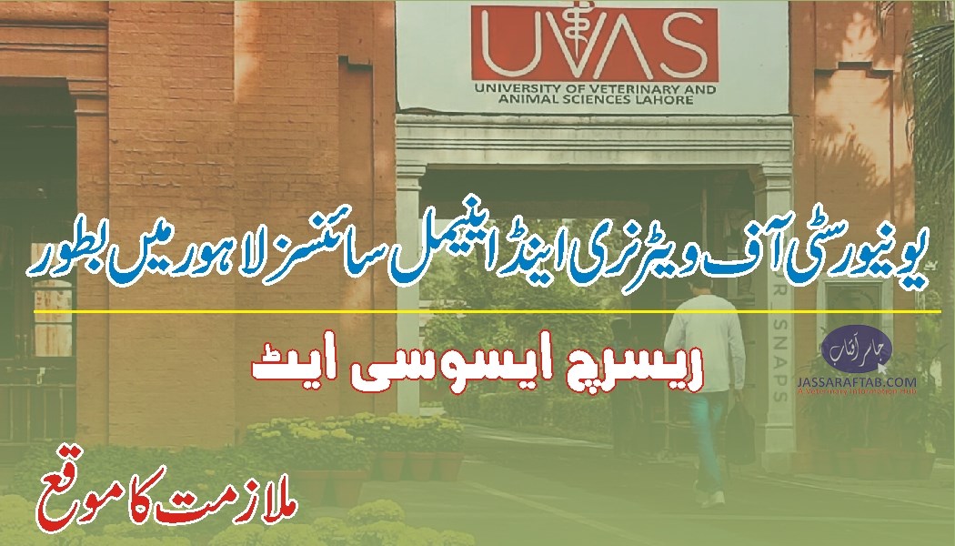 یونیورسٹی آف ویٹرنری اینڈ اینیمل سائنسز لاہور میں ملازمت کا موقع