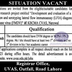UVAS jobs in FMD Project