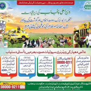 Veterinary services to farmers by Livestock department Punjab