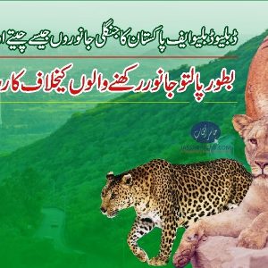 WWF Pakistan demands action against practice of keeping wild animals as pet, leopard as pet and other big cats as pet