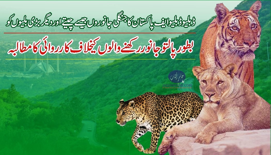 ڈبلیو ڈبلیو ایف پاکستان کا جنگلی جانوروں کو بطور پالتو جانور رکھنے والوں کیخلاف کارروائی کا مطالبہ