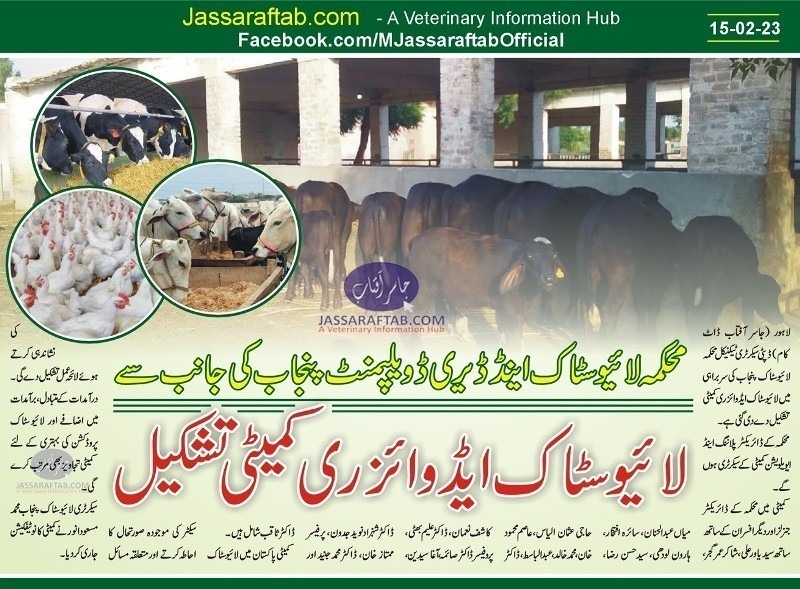 livestock advisory committee of Punjab