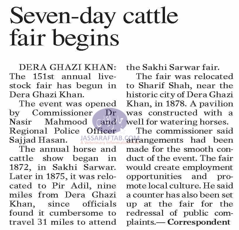 Cattle Fair in Dera Ghazi Khan