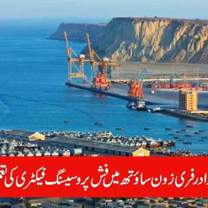 Construction of Fish Processing Factory in Gwadar begins