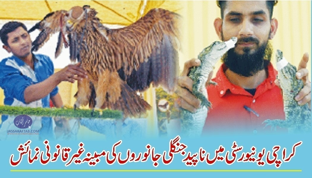 Endangered wild animals display at Karachi University
