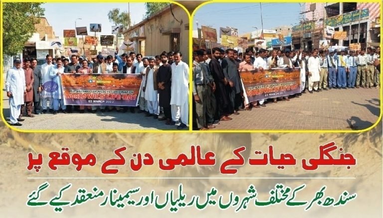 World Wildlife day celebrated in Sindh by Wildlife Department Sindh