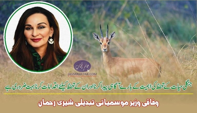 Awareness about Wildlife conservation, Sherry Rehman
