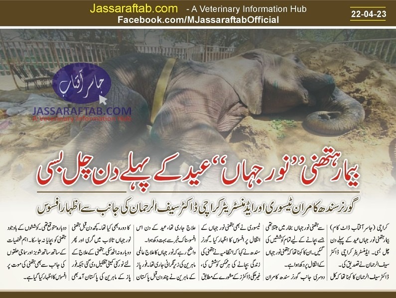 Death of Noor Jahan Elephant
