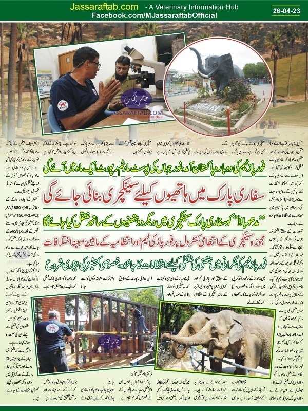 Elephant sanctuary in Karachi