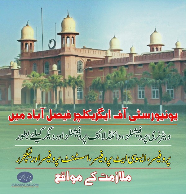 یونیورسٹی آف ایگریکلچر فیصل آباد میں ویٹرنری پروفیشنلز اور دیگر کیلئے ملازمت کے مواقع