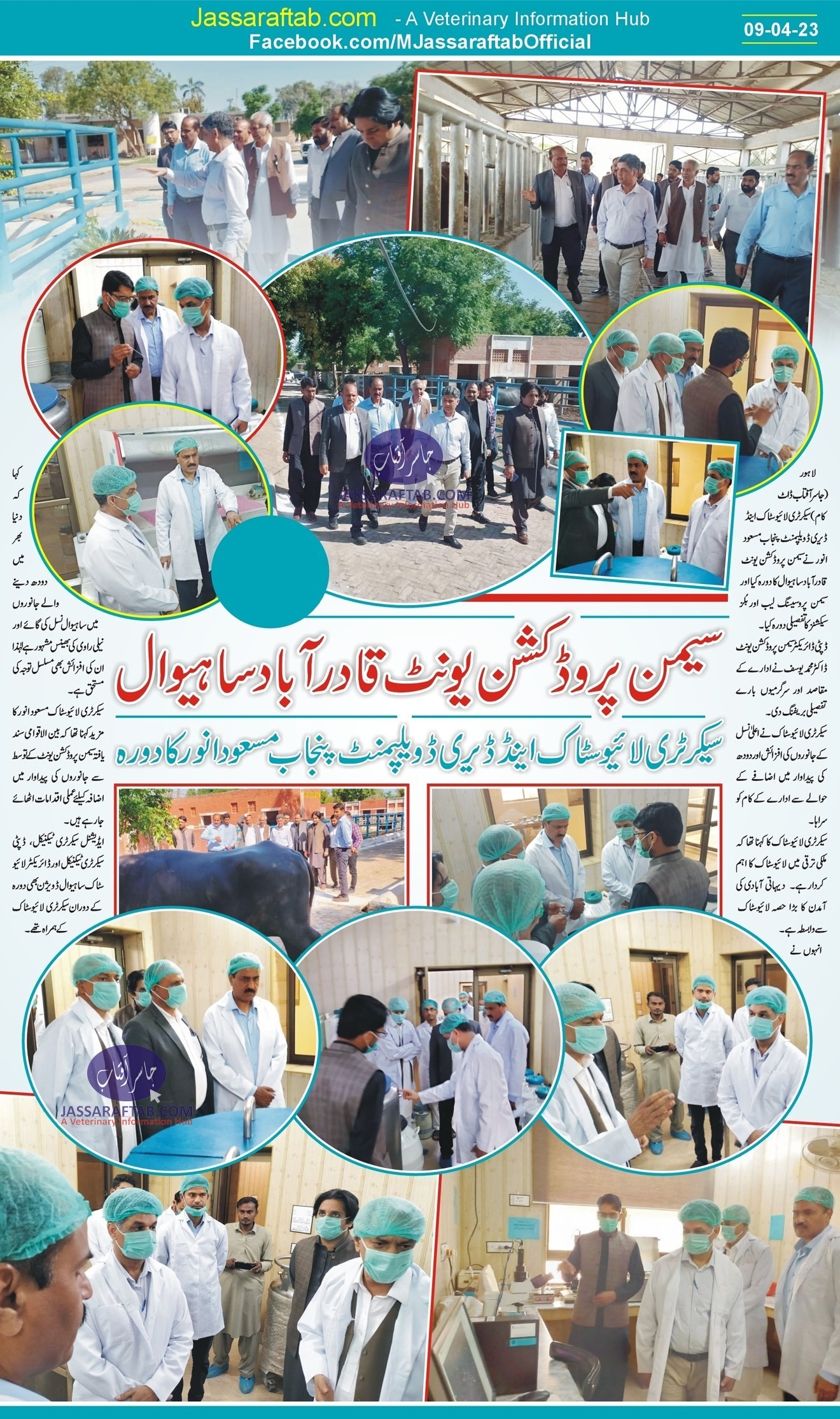 Semen Production Unit Qadirabad | SPU Qadirabad