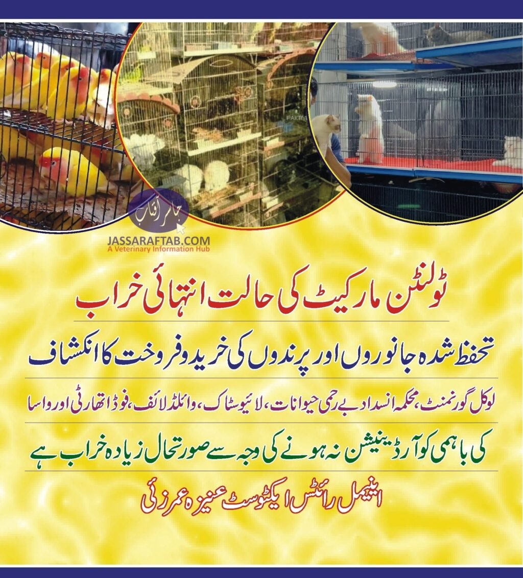 Tolinton Market in Lahore