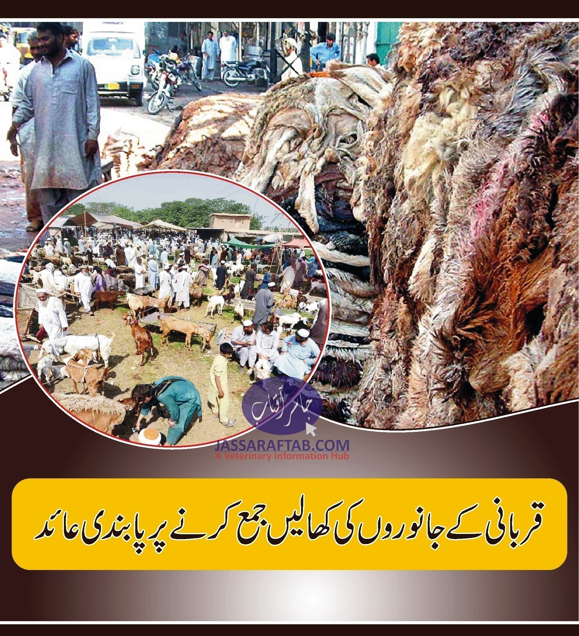 Ban on Hides collection