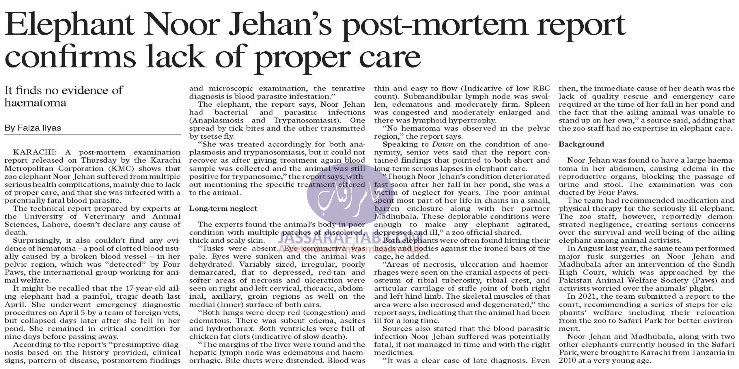 Elephant Noor Jehan Postmortem report