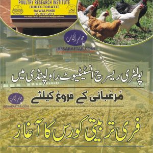 Poultry Farming Training. Free training on Poultry Farming to be conducted at PRI Rawalpindi