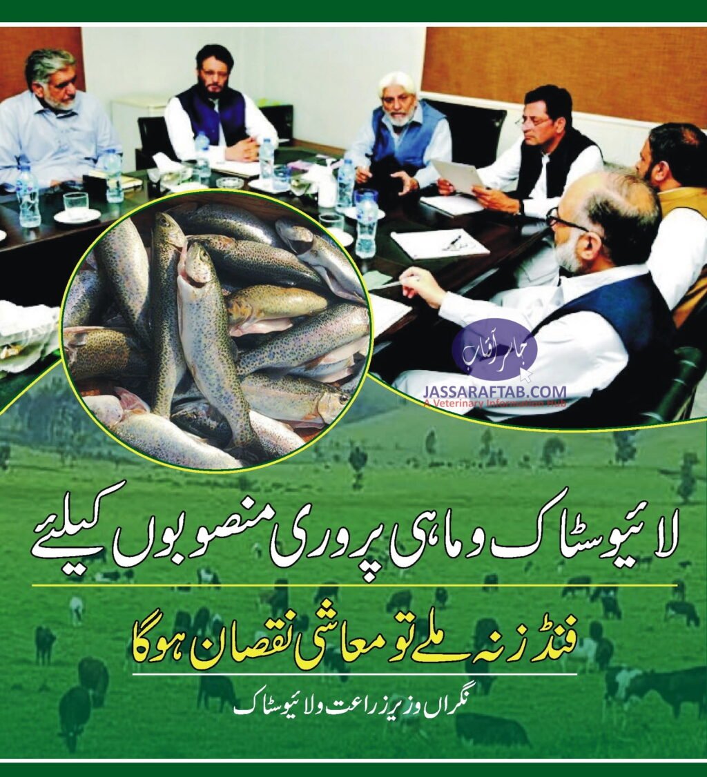 Livestock Dept KPK Funds