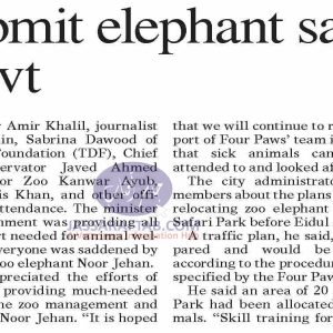 Elephant sanctuary plan in Sindh