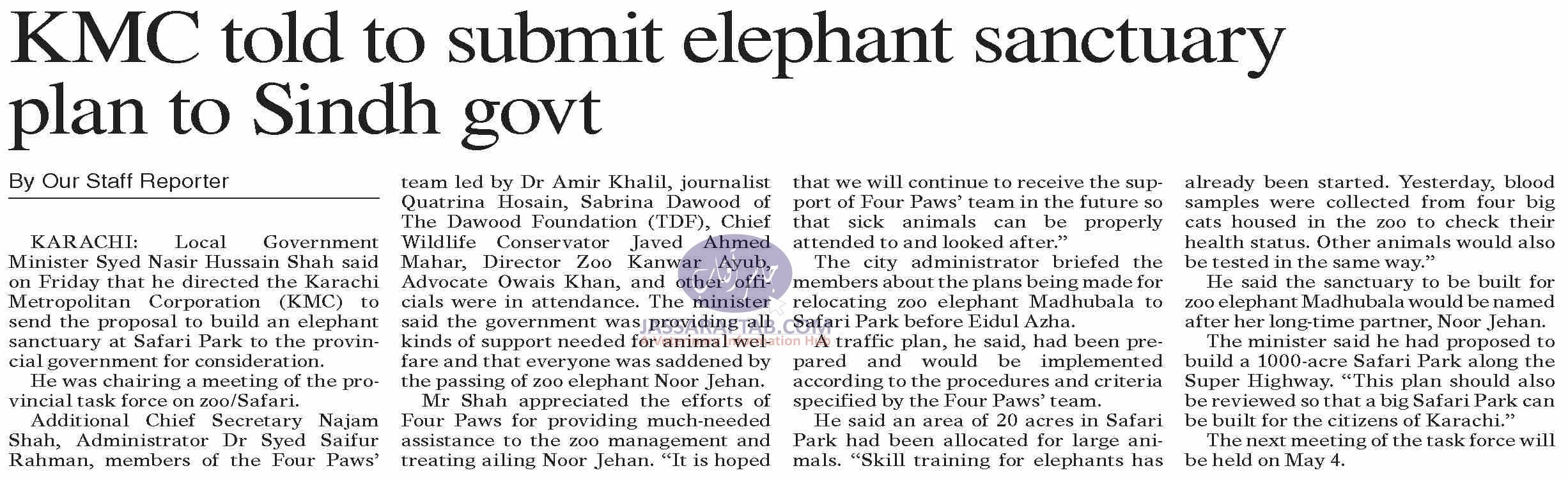 KMC told to submit elephant sanctuary plan to Sindh govt