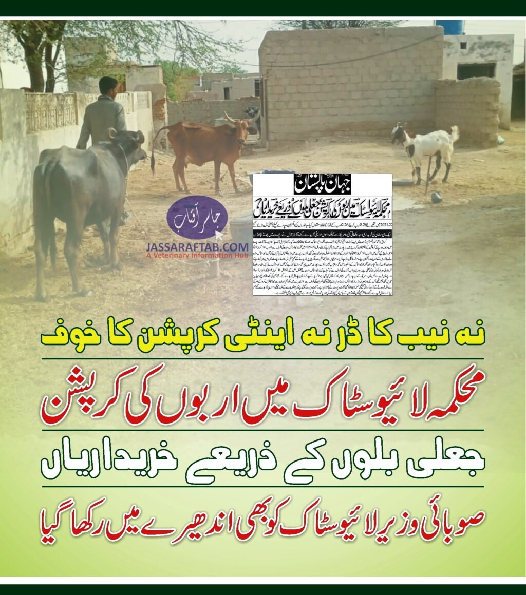 Corruption in Livestock dept