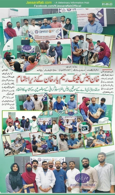 Ultrasound training in Rahim yar khan