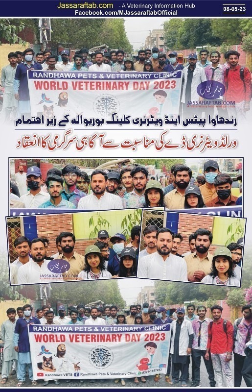 veterinary day celebration in Pakistan