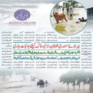 Biparjoy Cyclone Effects on Livestock