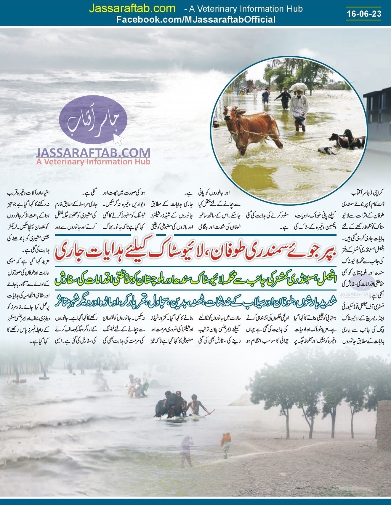 Biparjoy Cyclone Effects on Livestock