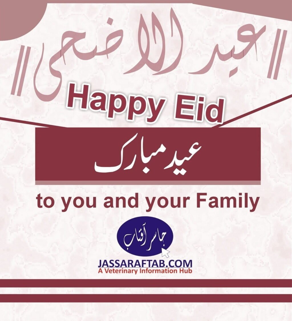 Eid ul Adha Card