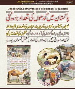 Livestock Population in Punjab