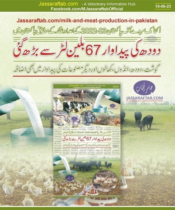 Livestock Production in Pakistan
