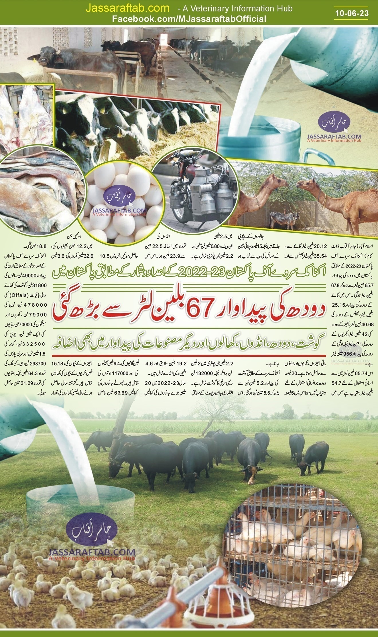 milk and meat Production in Pakistan