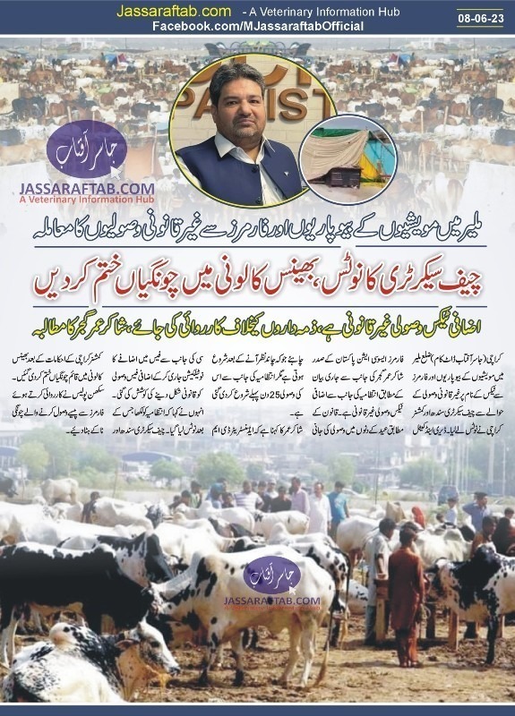 tax on qurbani animals in karachi