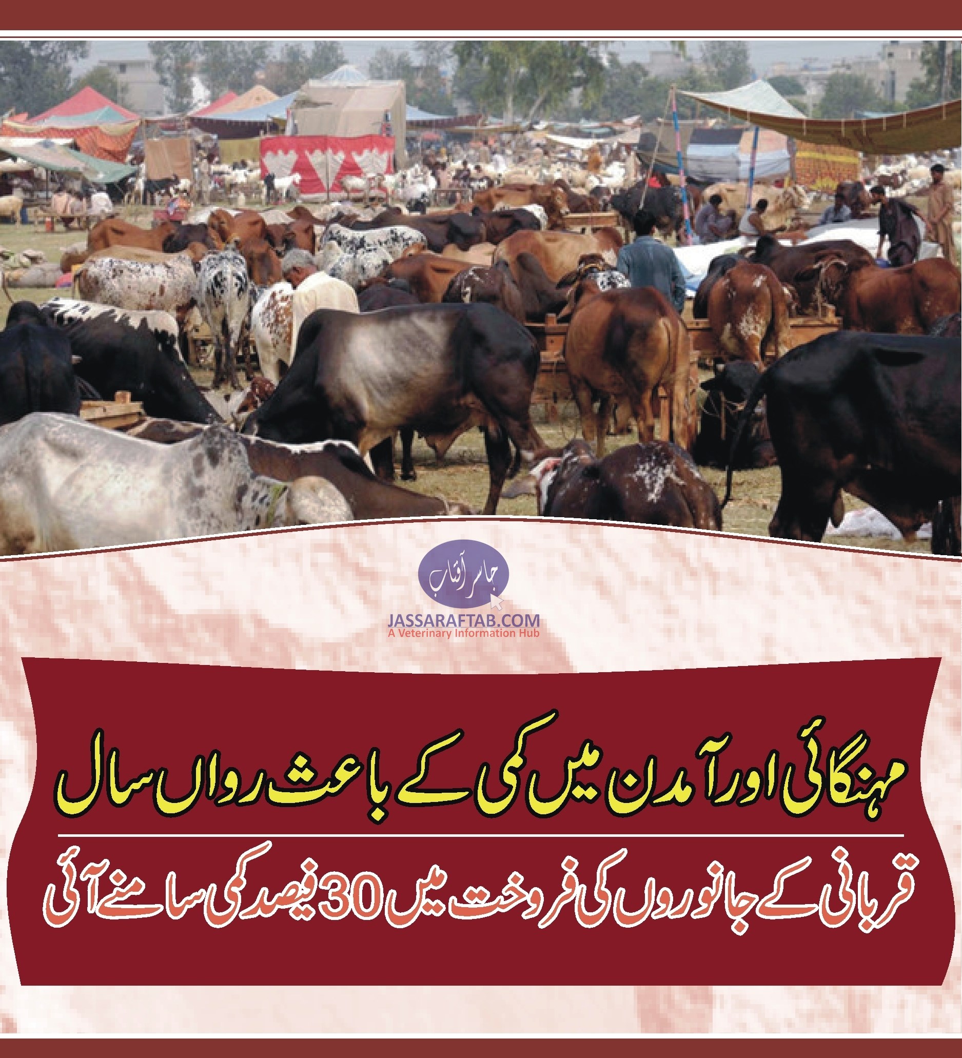 Sale of sacrifcial animals declined by 30 percent