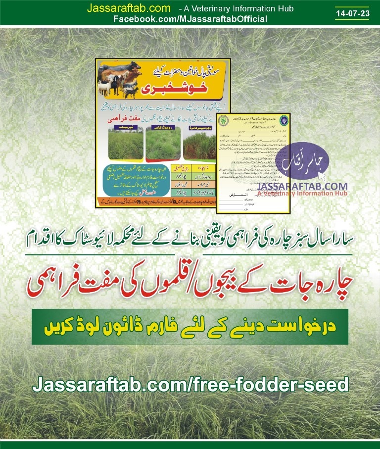 Free Fodder Seed Free Seeds of fodder