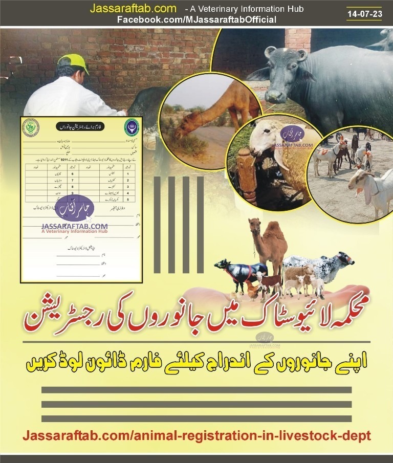 Registration of Animals in Livestock Department