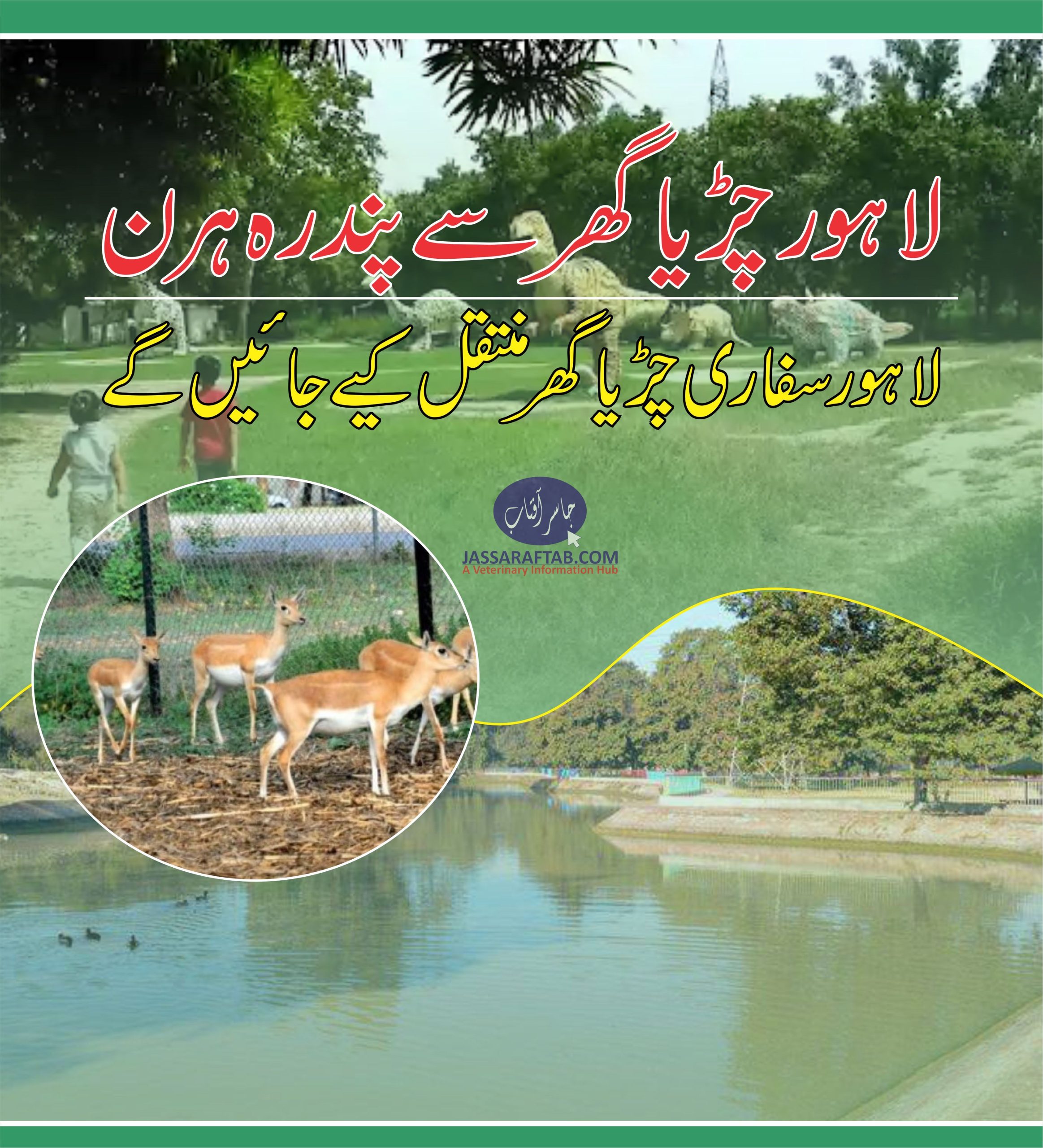 Deer to be shifted to Lahore safari Park