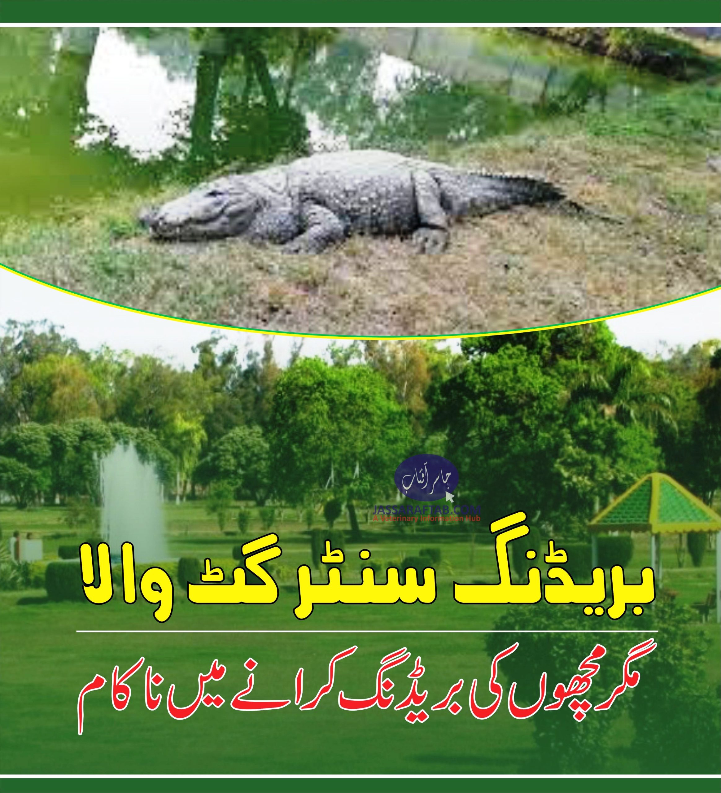 Gatwala wildlife center failed in crocodile breeding