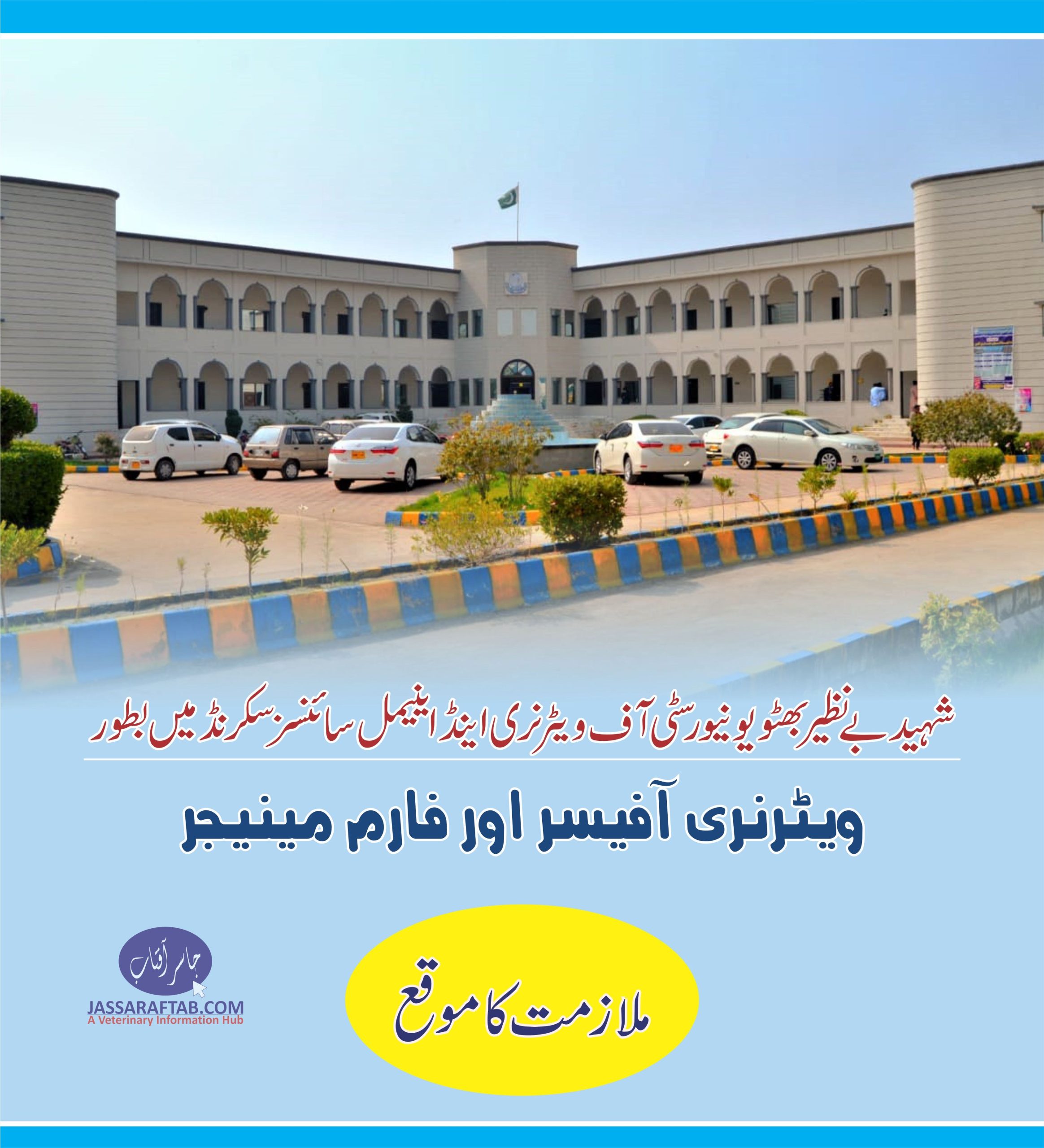 Shaheed Benazir Bhutto University jobs
