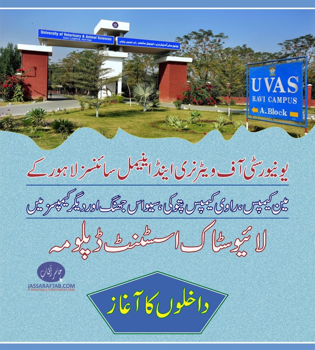 Livestock assistant Diploma